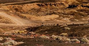 苑丽颖获场地自行车国家杯女子争先赛冠军